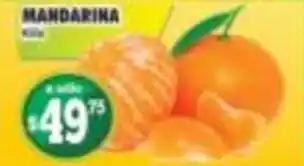 Casa Ley Mandarina oferta