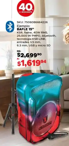Woolworth Kaiser bafle 15" oferta