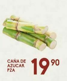 Alsuper Caña de azucar pza oferta