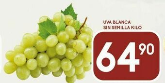 Uva blanca sin semilla kg