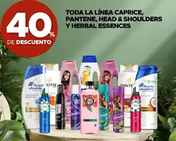 Woolworth Toda la línea caprice, pantene, head & shoulders y herbal essences oferta