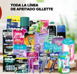 Woolworth Toda la línea de afeitado gillette oferta