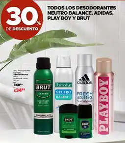 Woolworth Desodorante brut en aerosol, classic oferta