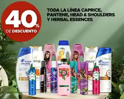 Woolworth Toda la línea caprice, pantene, head & shoulders y herbal essences oferta
