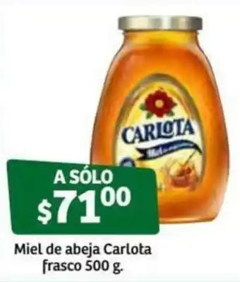 Miel de Abeja Carlota Frasco 500g