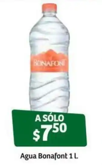 Agua Bonafont 1L