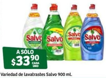 Variedad de Lavatrastes Salvo 900ml