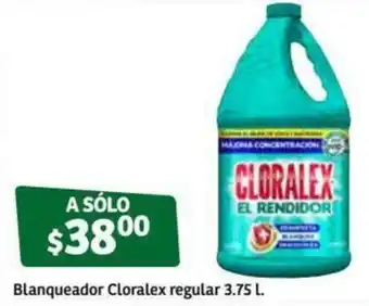 Blanqueador Clorarex Regular 3.75L