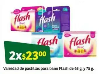 Variedad de Pastillas para Baño Flash 2x65g y 75g