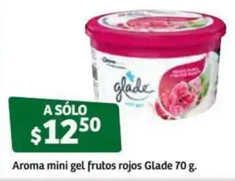 Aroma Mini Gel Frutos Rojos Glade 70g