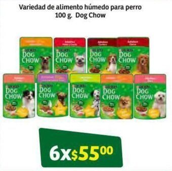 Variedad de Alimento Húmedo para Perro Dog Chow 6x100g