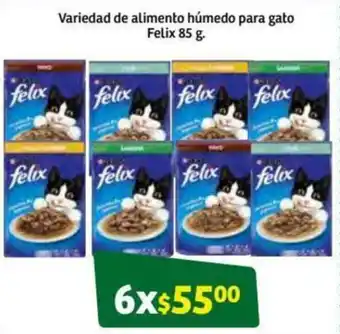 Variedad de Alimento Húmedo para Gato Felix 6x85g