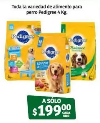 Soriana Súper Toda la Variedad de Alimento para Perro Pedigree 4kg oferta