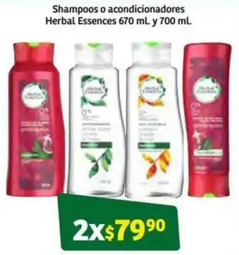 Soriana Súper Shampoo o Acondicionadores Herbal Essences 2x670ml y 700ml oferta