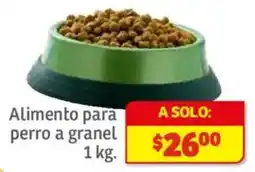 Soriana Híper Alimento para perro oferta