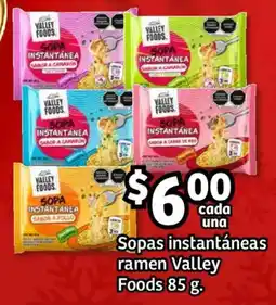 Soriana Híper Valley Foods sopas instantáneas ramen oferta