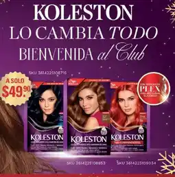 Woolworth Koleston oferta