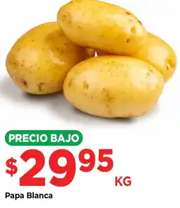 HEB Papa Blanca oferta