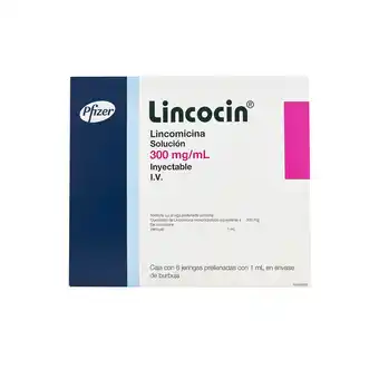 Farmacias YZA Lincocin Pediatrico 300Mg 6 Jga X 1Ml oferta