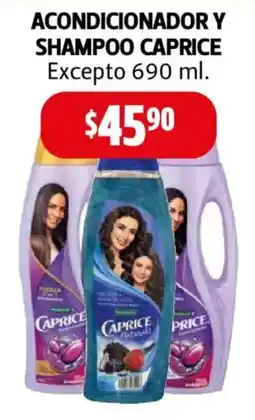 Farmacias Guadalajara Caprice acondicionador y shampoo excepto oferta