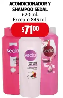 Farmacias Guadalajara Sedal acondicionador y shampoo oferta