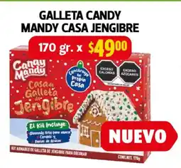 Farmacias Guadalajara Candy mandy galleta casa jengibre oferta