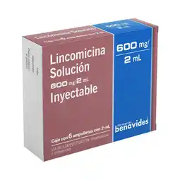 Farmacias Benavides 600 mg / 2 ml Lincomicina oferta