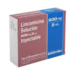 Farmacias Benavides 600 mg / 2 ml Lincomicina oferta