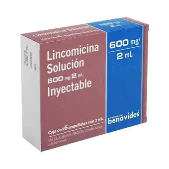 Farmacias Benavides 600 mg / 2 ml Lincomicina oferta