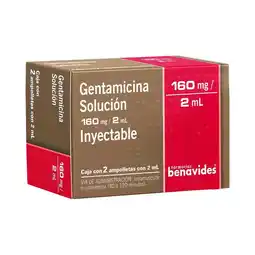 Farmacias Benavides 160 mg / 2 ml Gentamicina oferta