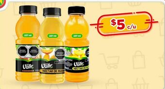 Bodega Aurrerá Néctar del valle 237ml oferta