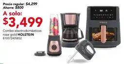 City Club Holstein electrodomesticos oferta