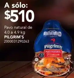 City Club Pilgrim's pavo natural oferta
