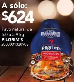 City Club Pilgrim's pavo natural oferta
