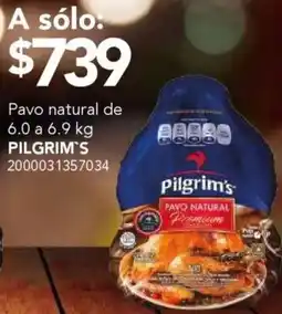 City Club Pilgrim's pavo natural oferta