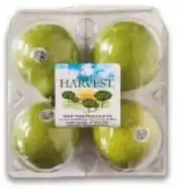 City Club Pure Harvest pera anjou clam oferta