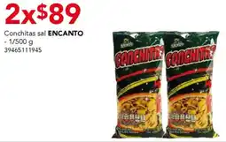 City Club Encanto conchitas sal oferta