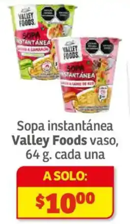 Soriana Híper Valley Foods sopa instantanea oferta