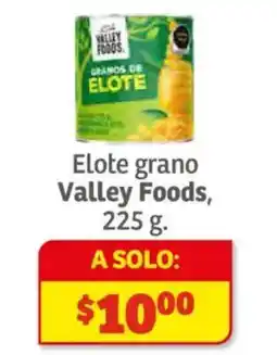 Soriana Híper Valley Foods elote grano oferta