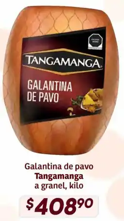 Soriana Híper Tangamanga galantina de pavo oferta