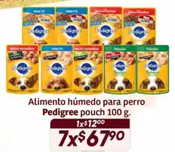 Soriana Híper Pedigree alimento humedo para perro oferta