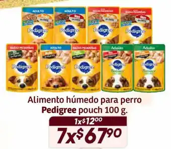Soriana Híper Pedigree alimento humedo para perro oferta