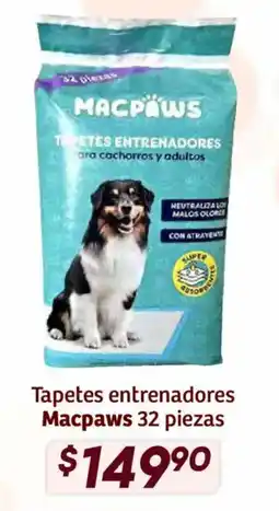 Soriana Híper Macpaws tapetes entrenadores oferta