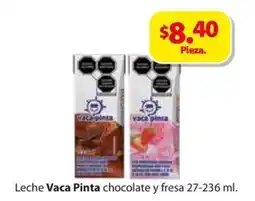 Zorro Leche vaca pinta chocolate y fresa oferta