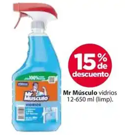 Zorro Mr músculo vidrios oferta