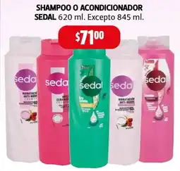 Farmacias Guadalajara Sedal shampoo o acondicionador oferta