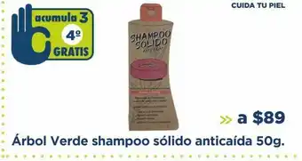 Farmacia San Pablo Árbol verde shampoo sólido anticaída 50g oferta