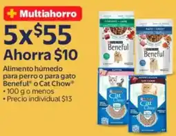 Walmart Beneful o cat chow alimento húmedo para perro o para gato oferta
