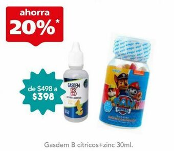 Gasdem b sup alim citricos + zinc c/30ml