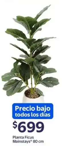 Walmart Mainstays planta ficus oferta